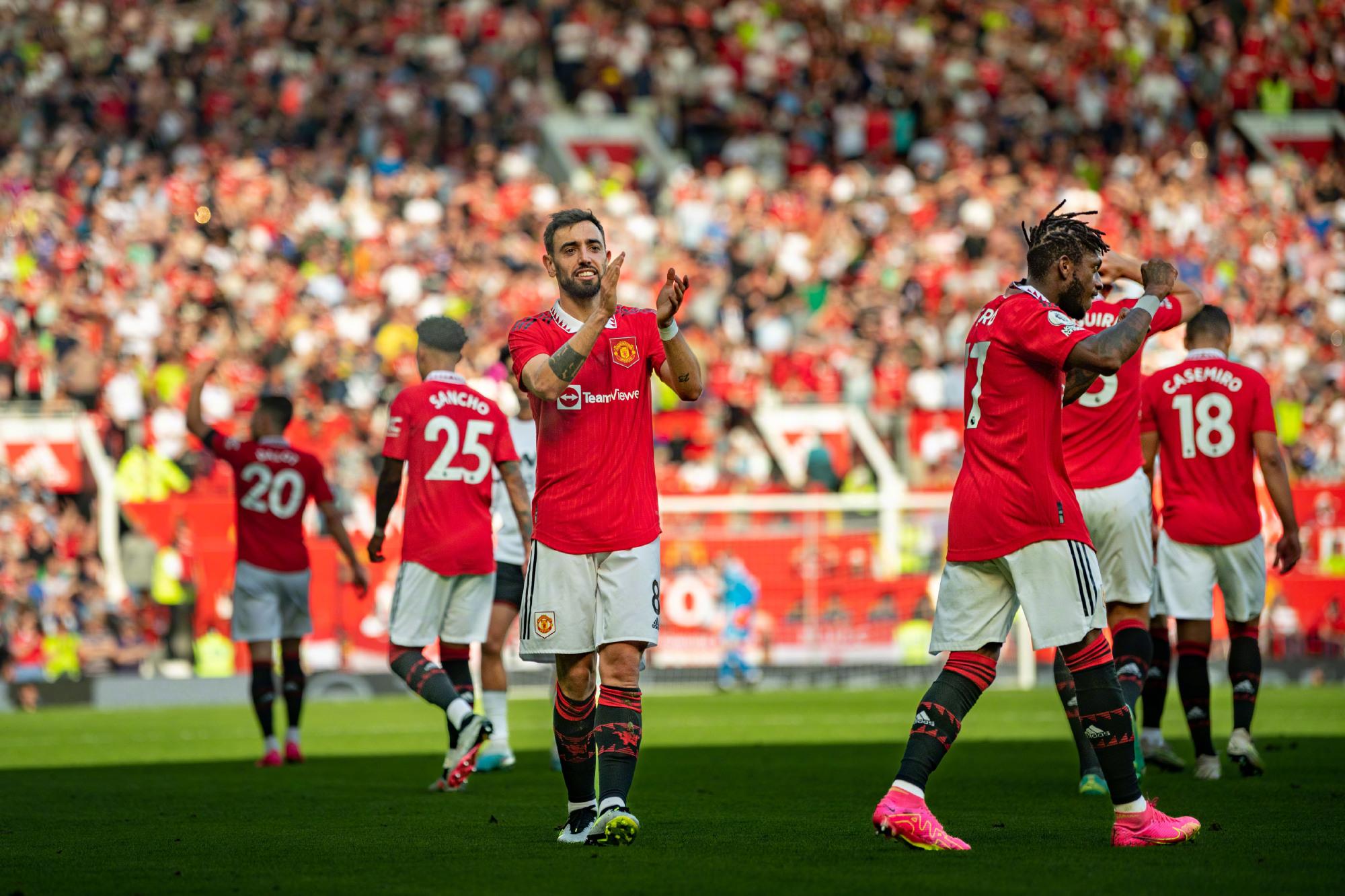 鲜明地反映 鲜明地反映