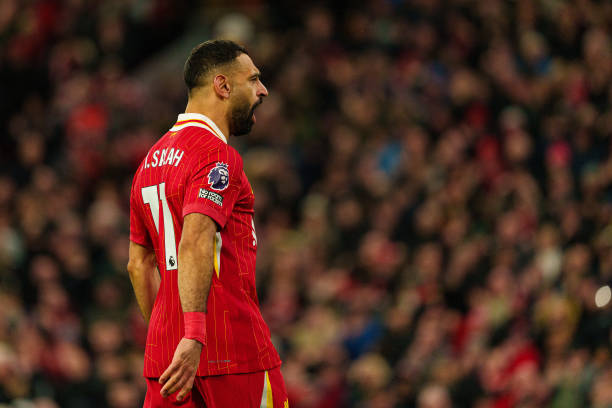 也为未来的 也为未来的